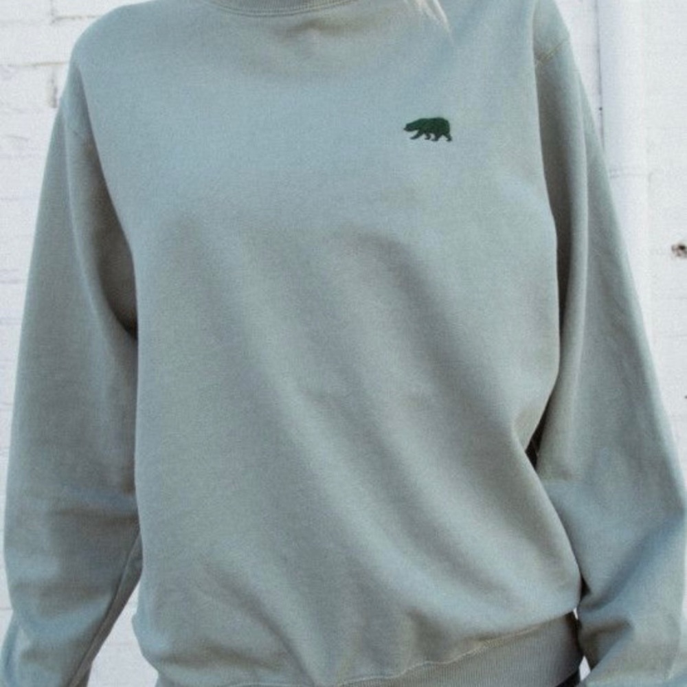 Erica green bear sweatshirt from Brandy Melville